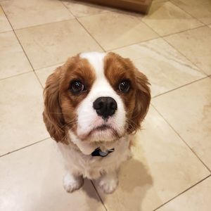 Meet your Posher, Gabrielle